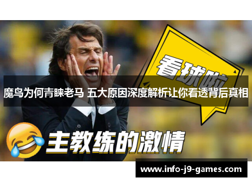 魔鸟为何青睐老马 五大原因深度解析让你看透背后真相