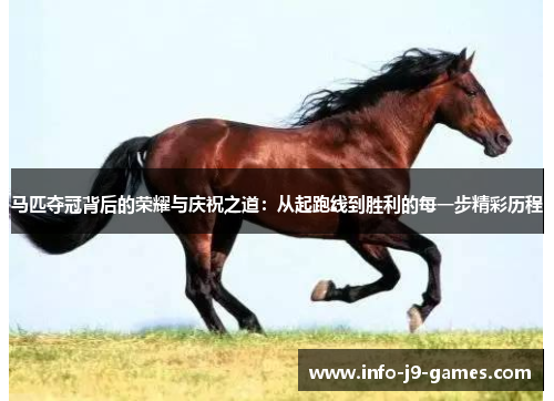 马匹夺冠背后的荣耀与庆祝之道：从起跑线到胜利的每一步精彩历程