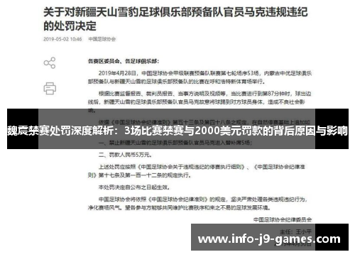 魏震禁赛处罚深度解析：3场比赛禁赛与2000美元罚款的背后原因与影响